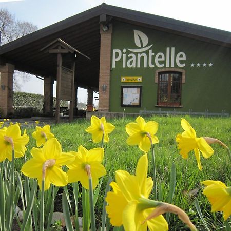 Camping Piantelle Moniga del Garda Exteriör bild